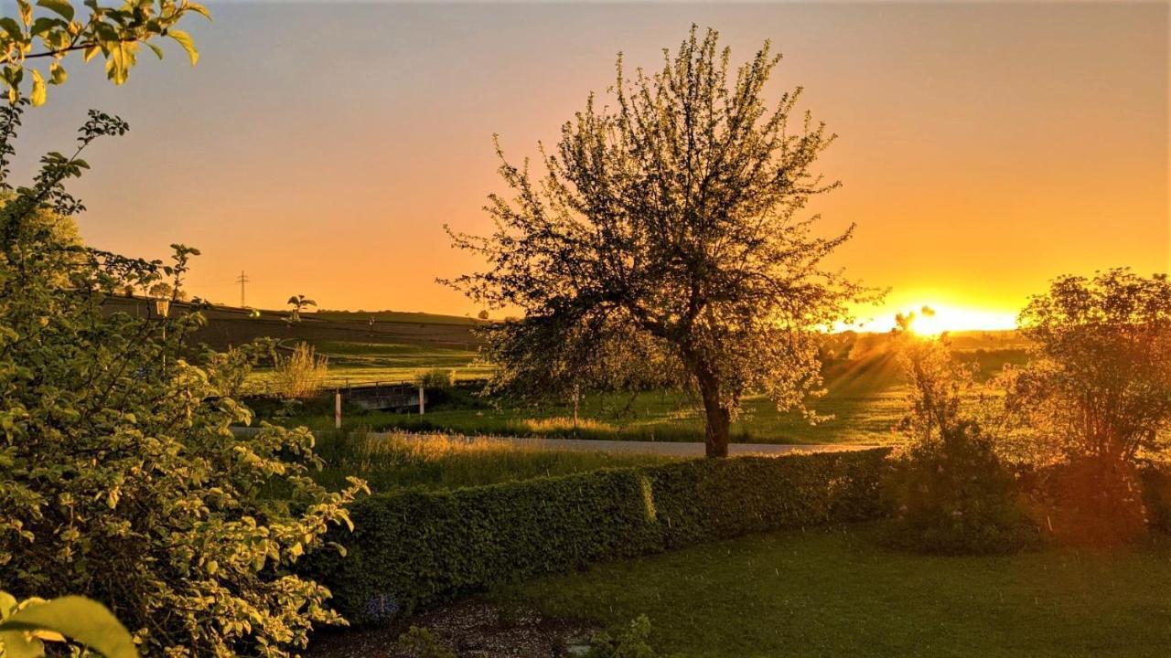 Pension Margaretenhof Bayerbach Exteriér fotografie