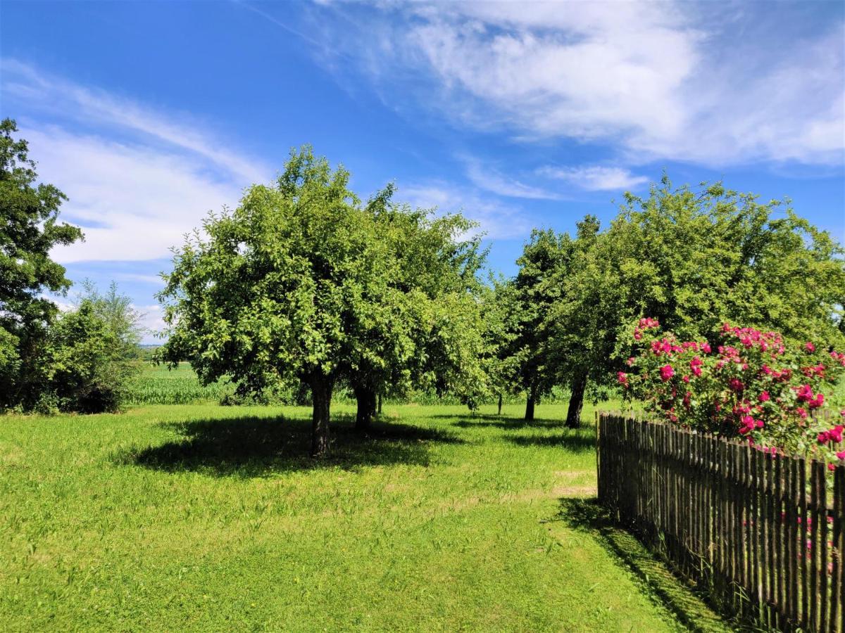 Pension Margaretenhof Bayerbach Exteriér fotografie