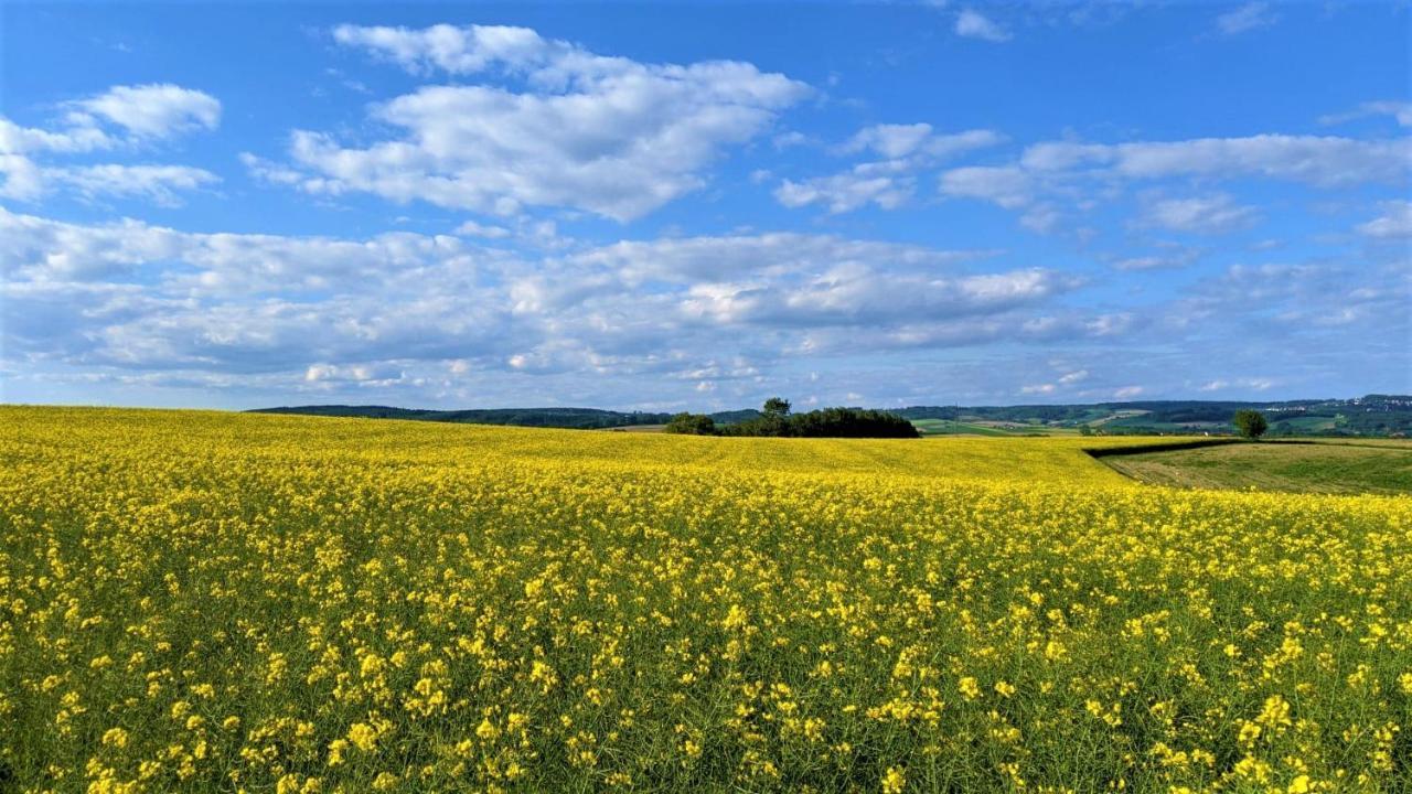 Pension Margaretenhof Bayerbach Exteriér fotografie