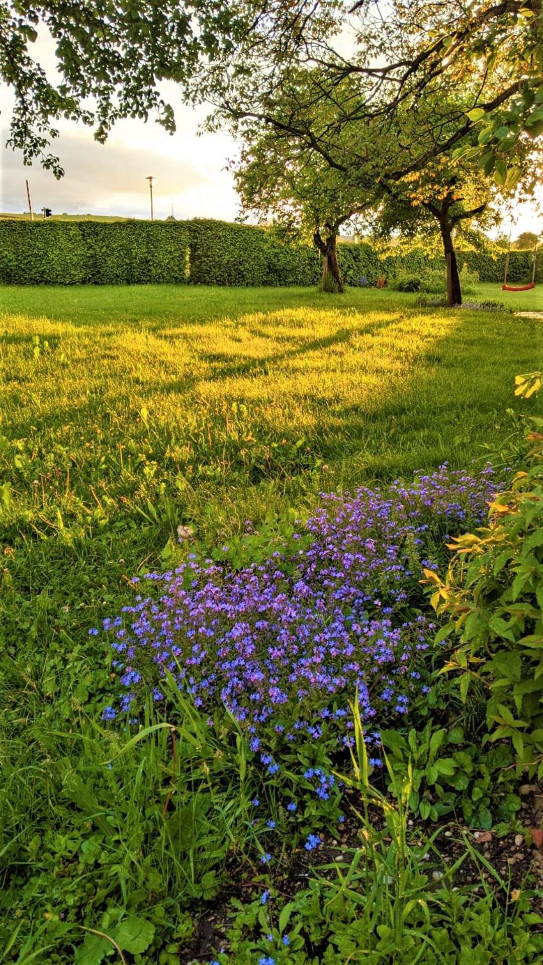 Pension Margaretenhof Bayerbach Exteriér fotografie